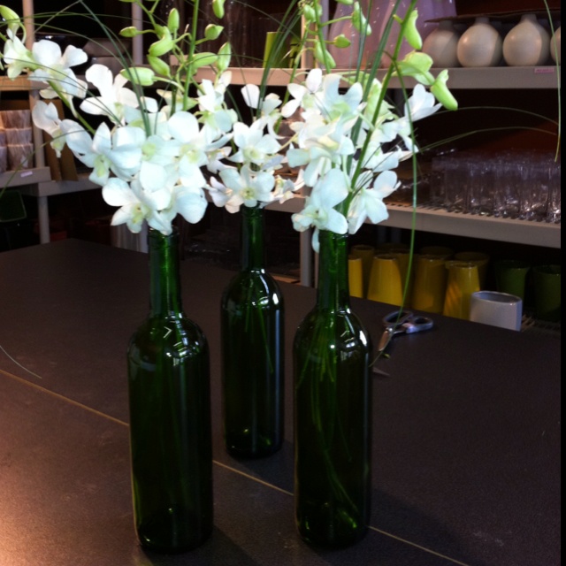Wine bottle centerpieces with dendrobium orchids.  I made these for my wedding l...