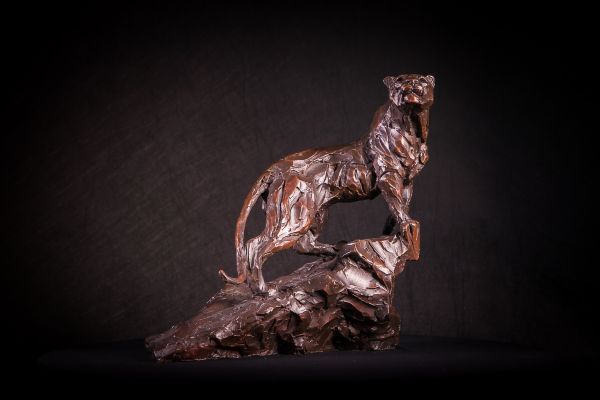 Bronze Cats Wild and Big Cats sculpture by artist Matt Withington titled: 'O...