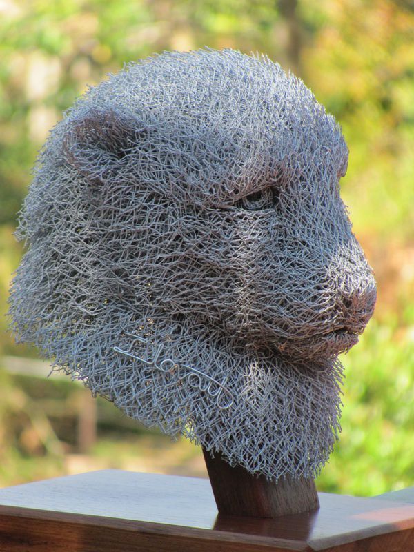 Chicken Wire Cats Wild and Big Cats #artwork by #artist Ivan Lovatt titled: 'Che...
