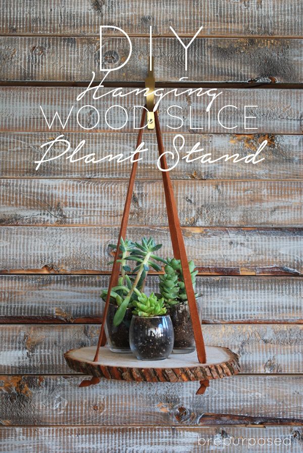 Hanging Wood Slice Plant Stand | Free Plans