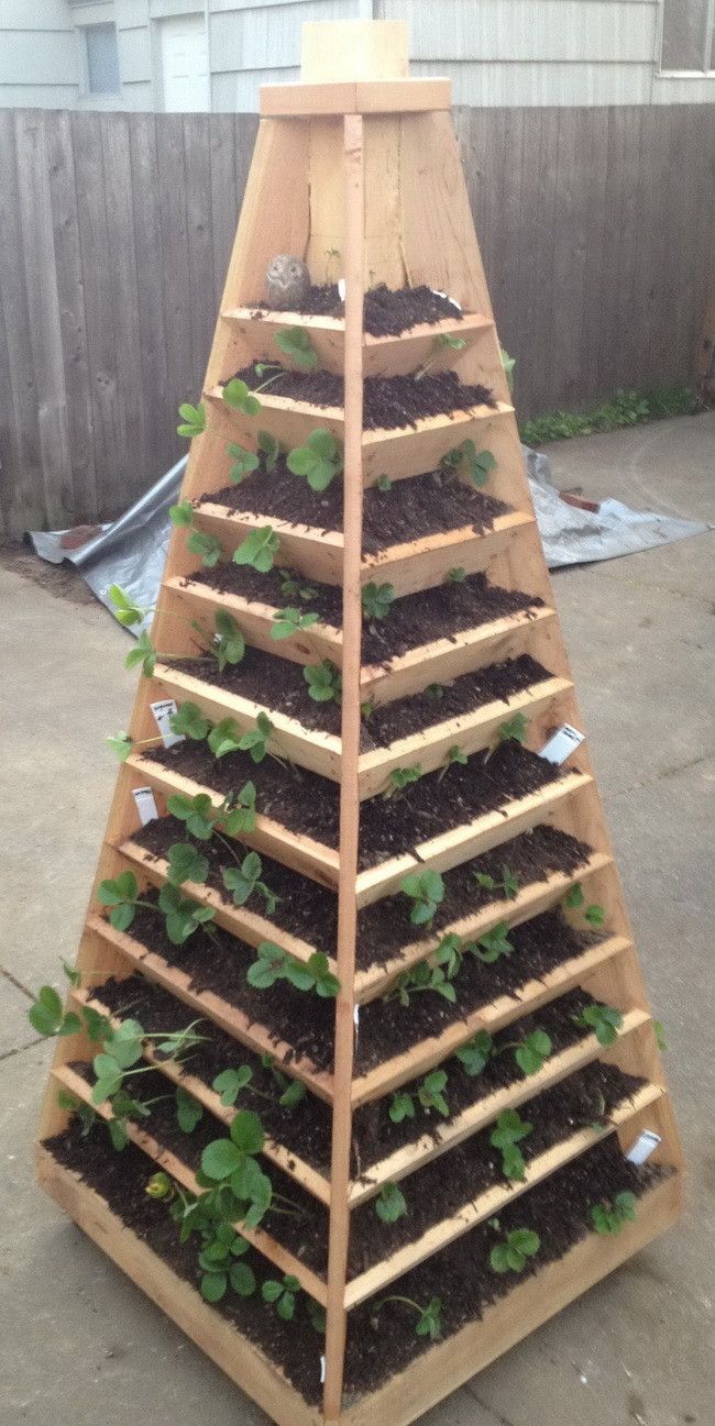 How To Build A Vertical Garden Pyramid Tower For Your Next diy Garden Project
