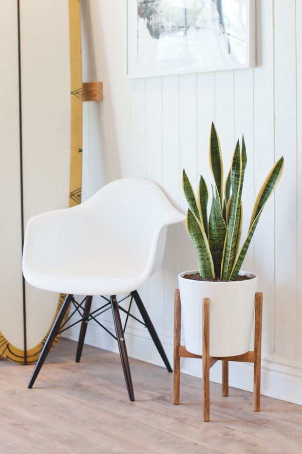 Plant Stand | Free  Plans
