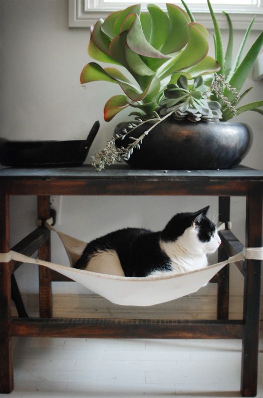 Kitty hammock - desire to inspire