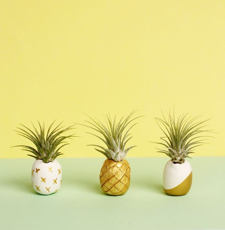Mini pineapples DIY clay air plant holders