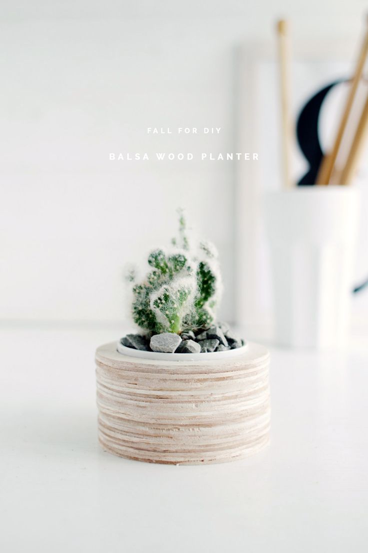 DIY Balsa Wood Planter