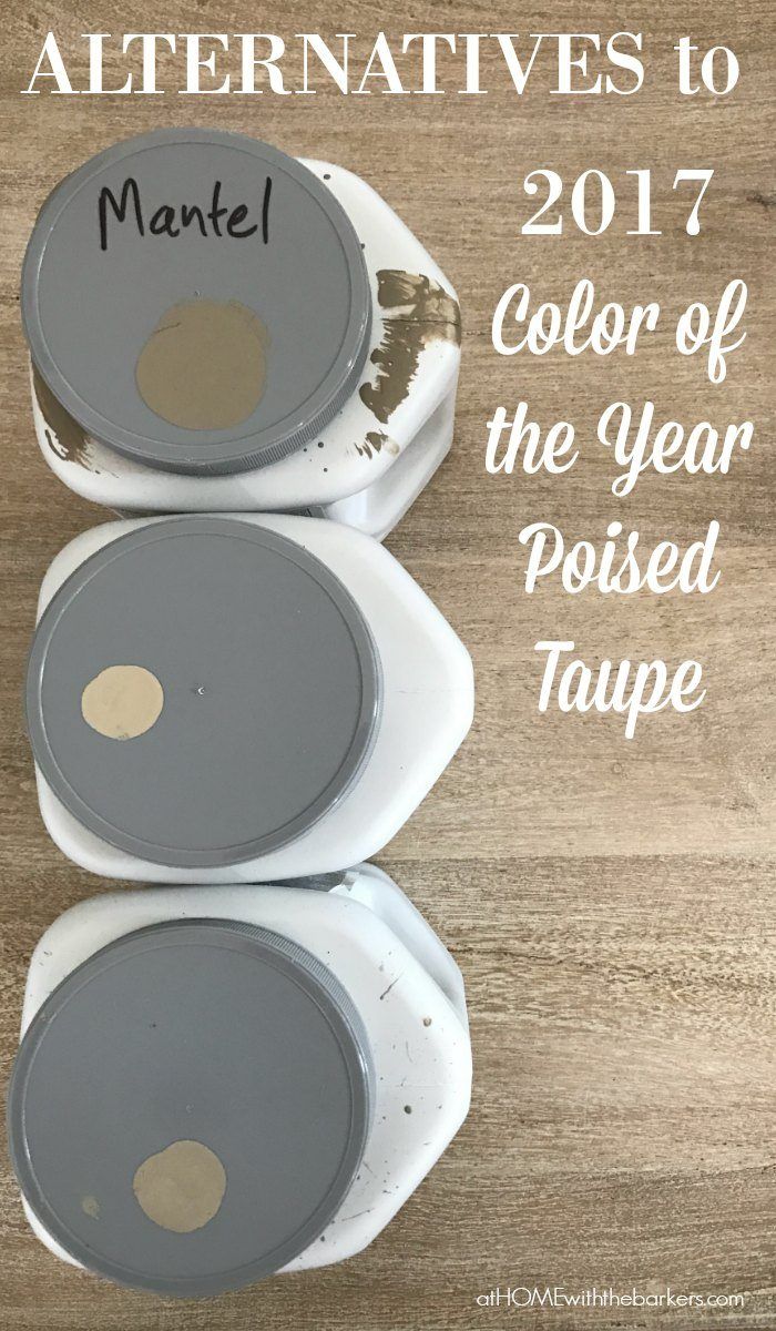 2017 Color of the Year Poised Taupe may not work for everyone. Try out some of t...