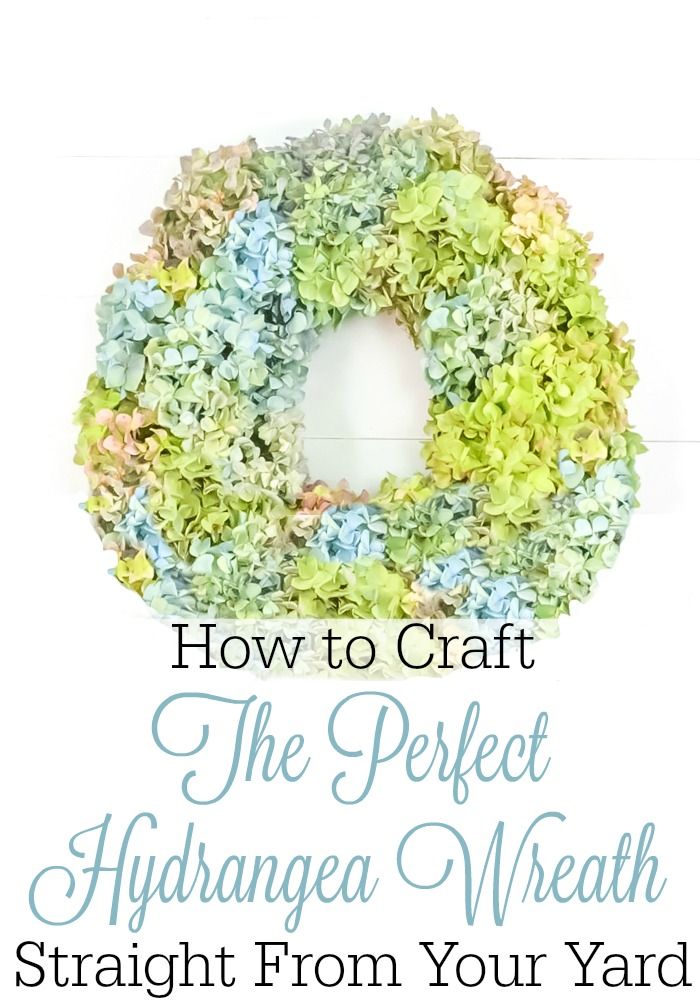Finally! The secret to the perfect dried hydrangeas. A hydrangea wreath that wil...