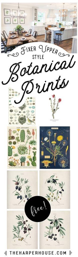 Great ideas on just HOW to display farmhouse style botanical prints. And a great...