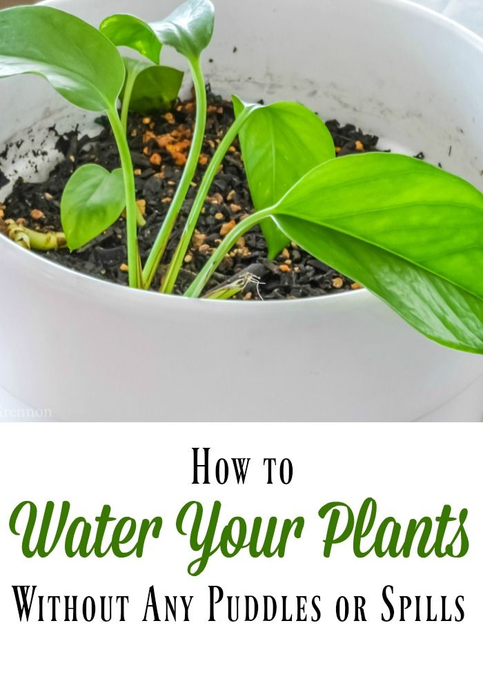 Save yourself the aggravation of ring around the planter and water stains on you...