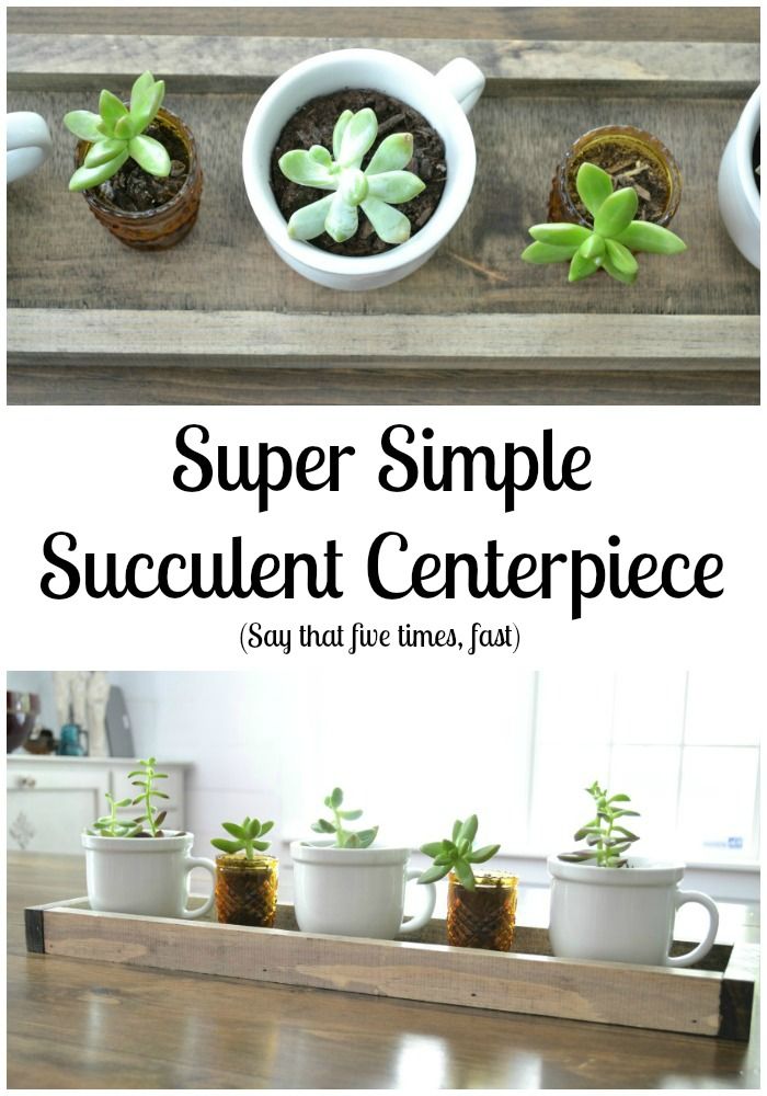 Simple succulent centerpiece | Tablescape | Dining Room Centerpiece | iamahomema...