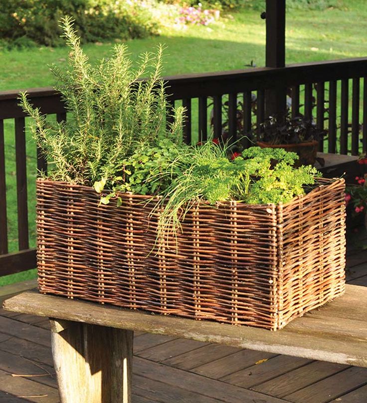 herb garden planter that is a basket. So cute. Would look great on the front por...
