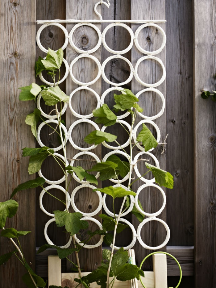 Scarf/Belt closet hanger (from Ikea) would make a quick and easy trellis