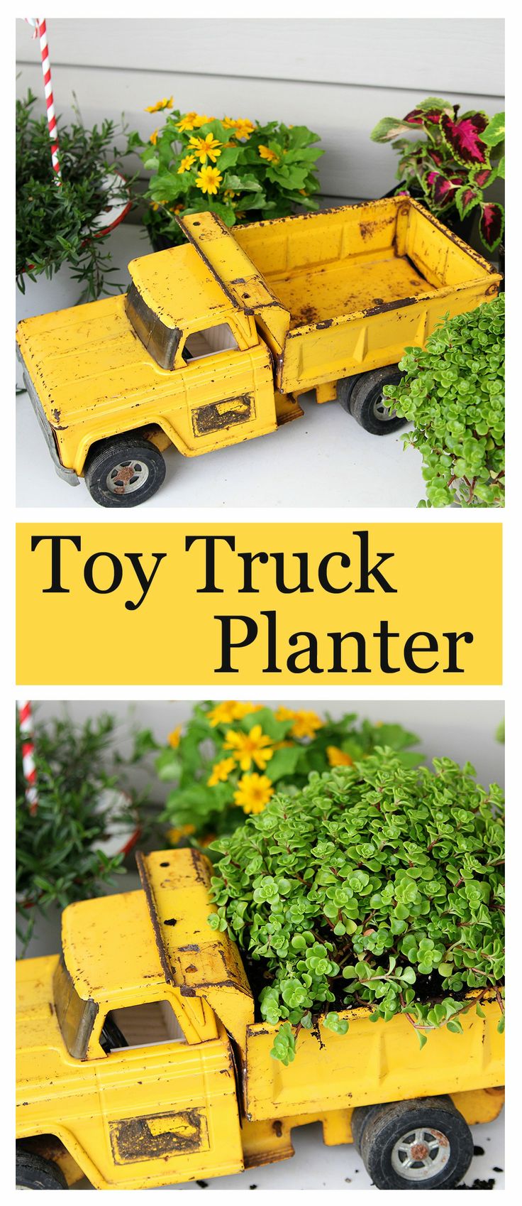Using a toy truck, found at a yard sale, as a planter.