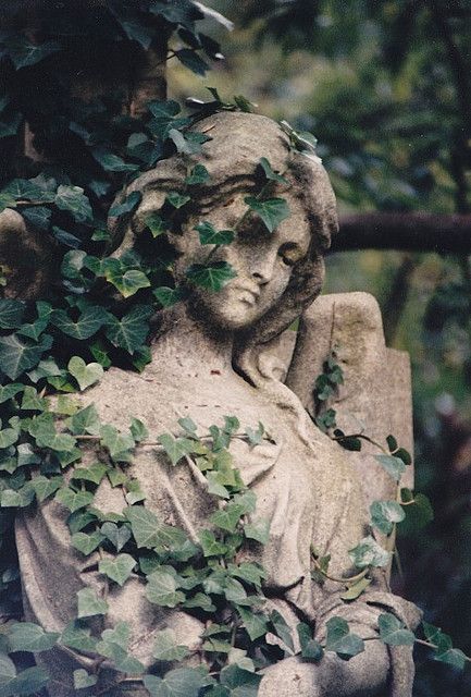 Angel wreathed in ivy, Highgate Cemetery East.