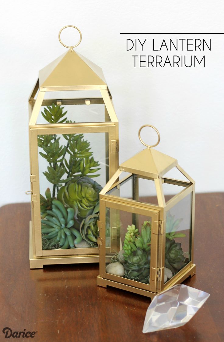 How-to-make-a-terrarium-lantern-Darice