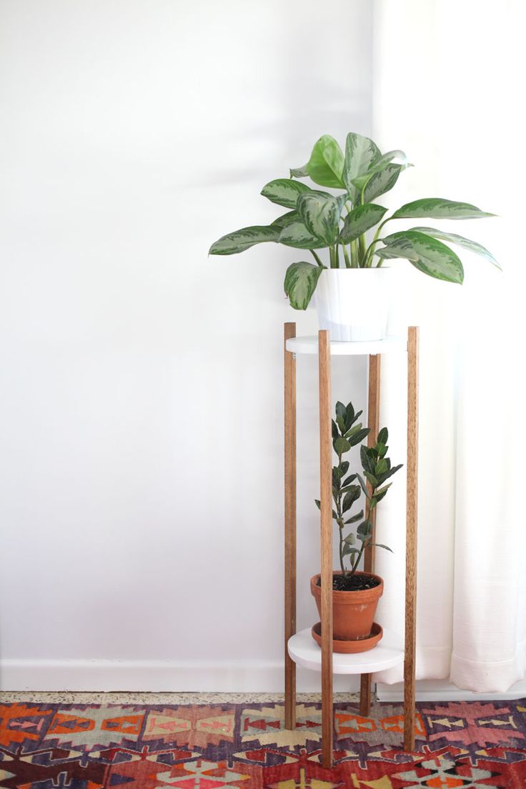 Make this Mid Century inspired plant stand to show off the houseplants you haven...
