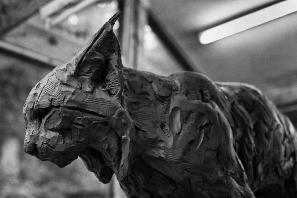 #Bronze #sculpture by #sculptor David Mayer titled: 'Eurasian Lynx (life size Br...