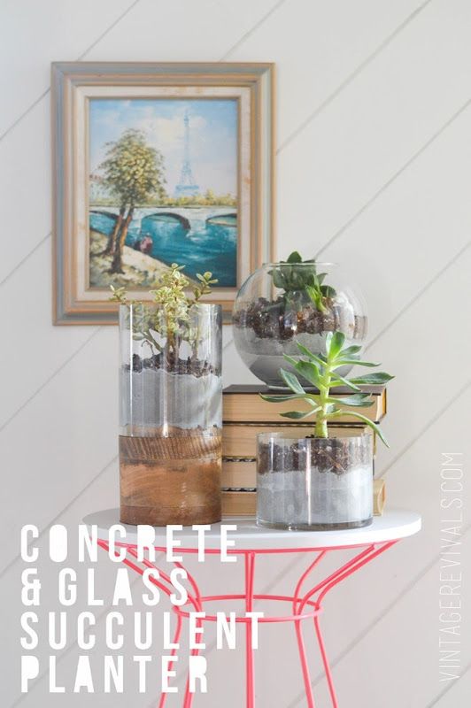 Concrete and Glass Succulent Planter Tutorial - Vintage Revivals