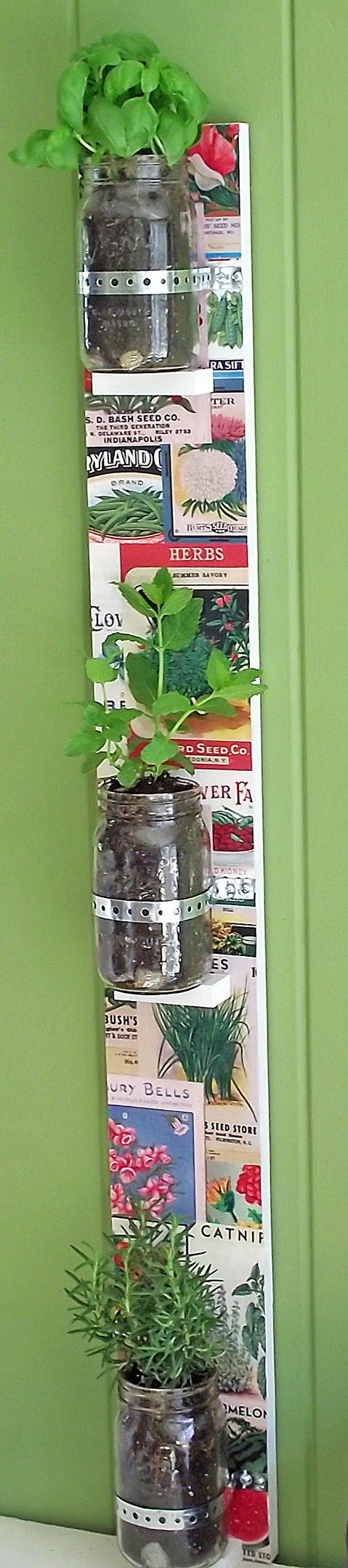 DIY hanging mason jar herb garden