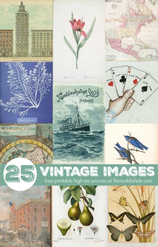 Free printable high resolution vintage images from book pages and more via NYPL,...