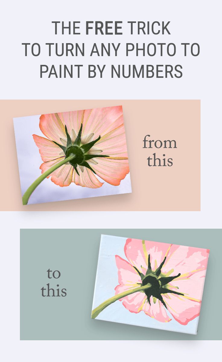 The Free Trick for How to Turn a Photo into Paint by Numbers