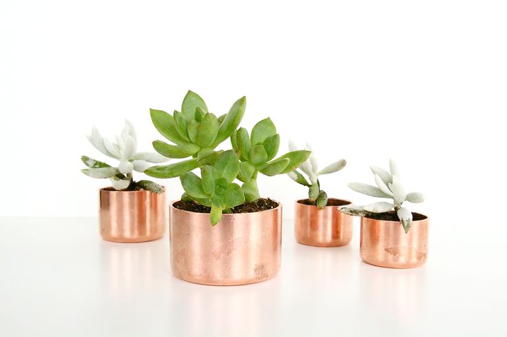 DIY mini copper planters by Sugar & Cloth for Poppytalk