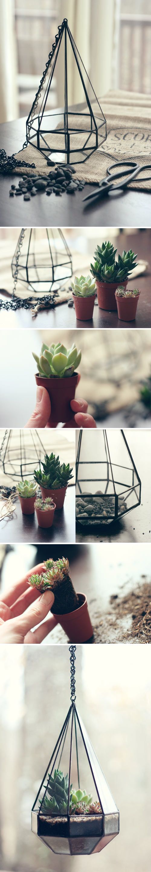21 Simple Ideas For Adorable DIY Terrariums - BuzzFeed Mobile