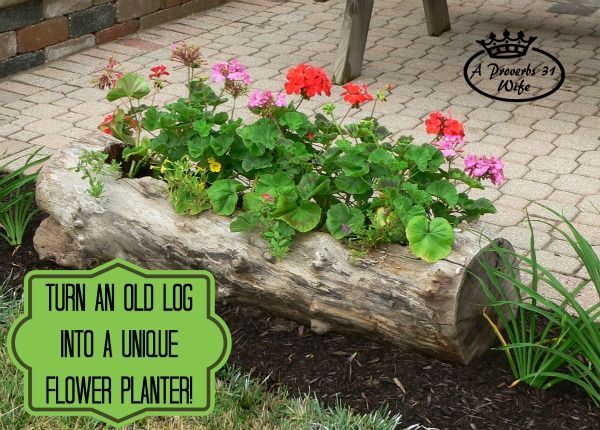 Making a log planter for flowers.