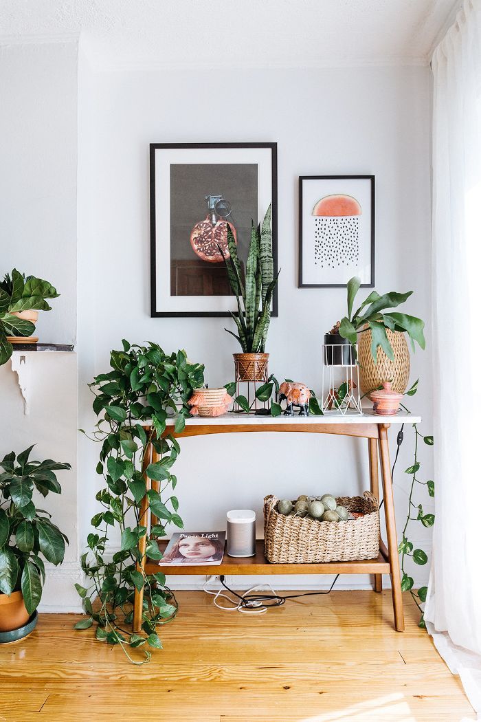 Great layout for entryway table using plants and planters