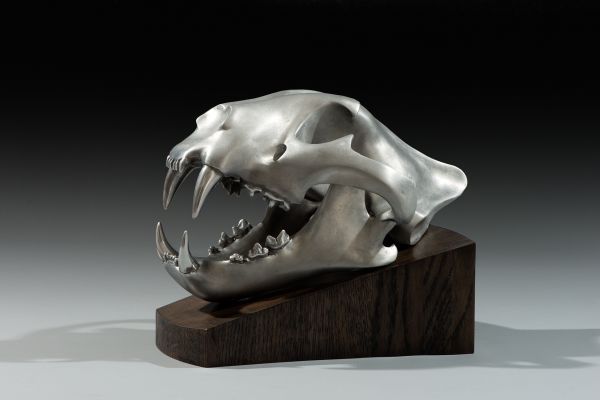 #Aluminium #sculpture by #sculptor Simon Gudgeon titled: 'Tiger (aluminium Metal...