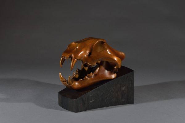 #Bronze #sculpture by #sculptor Simon Gudgeon titled: 'Tiger (Bronze Head/Trophy...