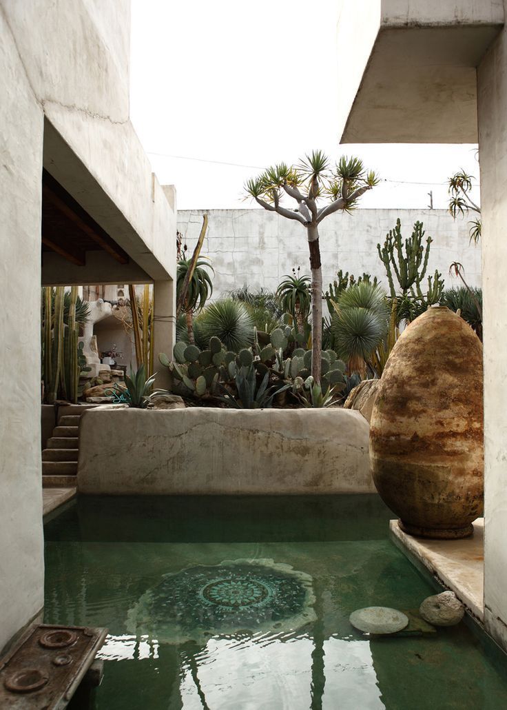 Dipping pool with cacti garden - Philip Dixon House, California