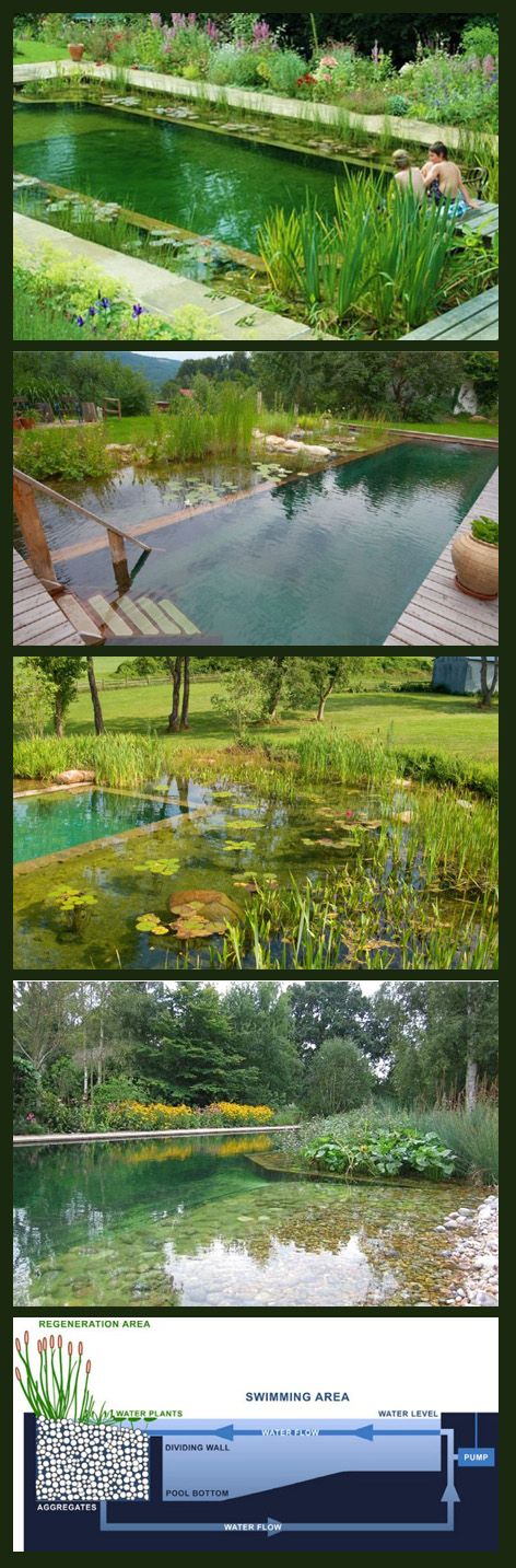 swimming ponds…….Cash Back on your House Renovation or Pool ,,shop your way ...