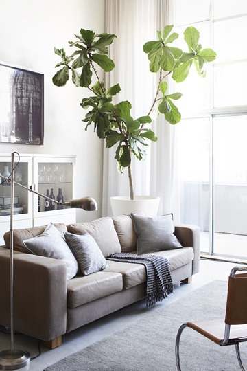 light and neutral living room