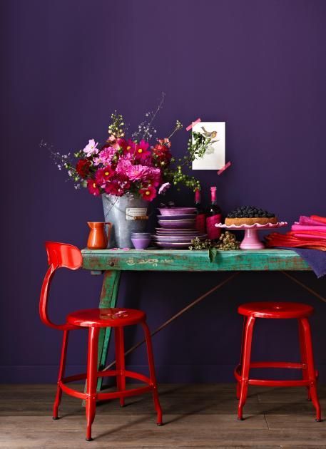 Paars, muur, rood, stoel, groen, tafel, bloemen, flowers, purple, red, green