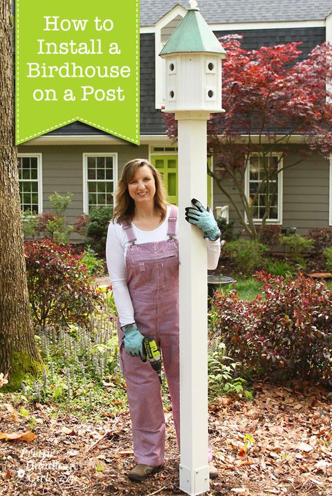 How to Install a Birdhouse on a Post #DIYCourage