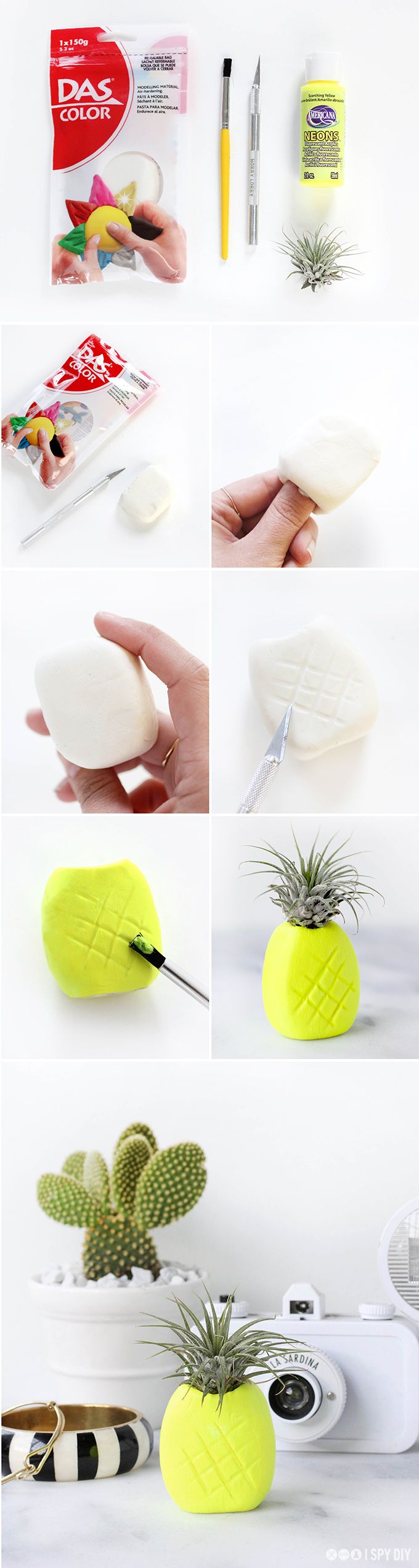 Neon pineapple airplant holder