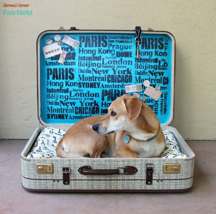 Repurpose a Suitcase into a No-Sew Pet Bed