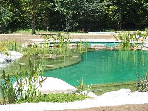 10 ideas de piscinas naturales y sostenibles | Disfrutar de tu tiempo libre es f...