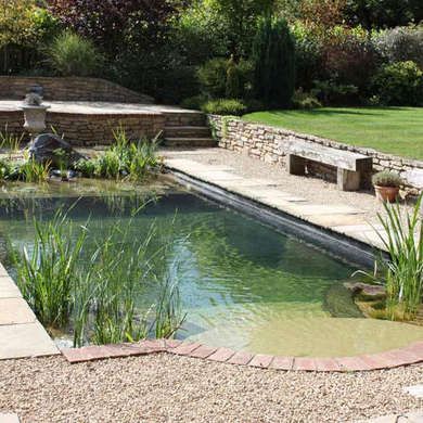 Simple Backyard Pool