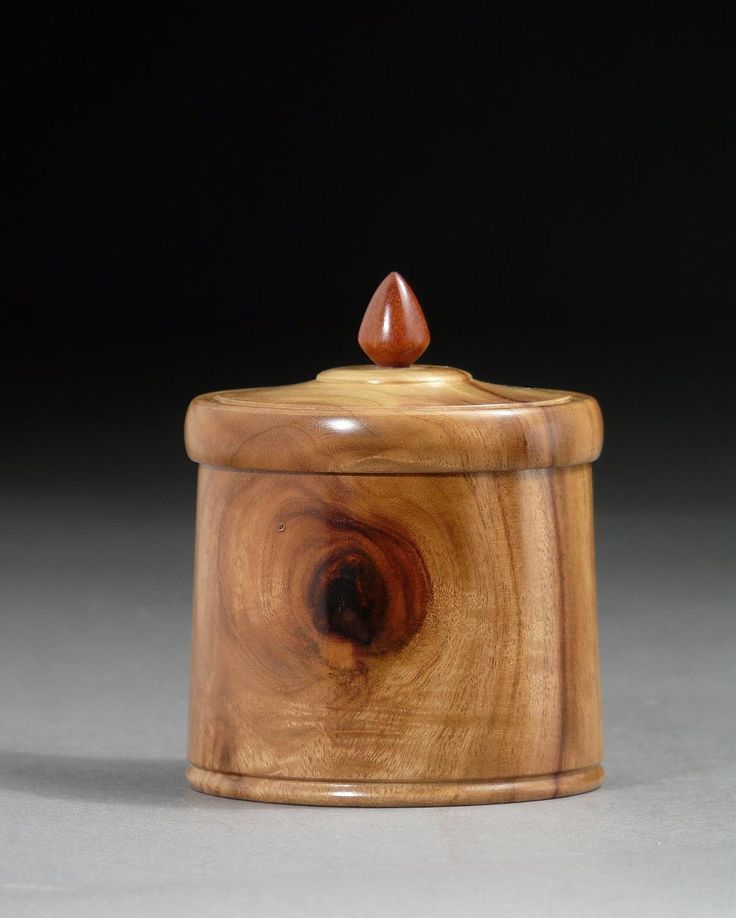 Camphor Laurel treasure box, with Bloodwood pull. Fragrant wood! By New England ...