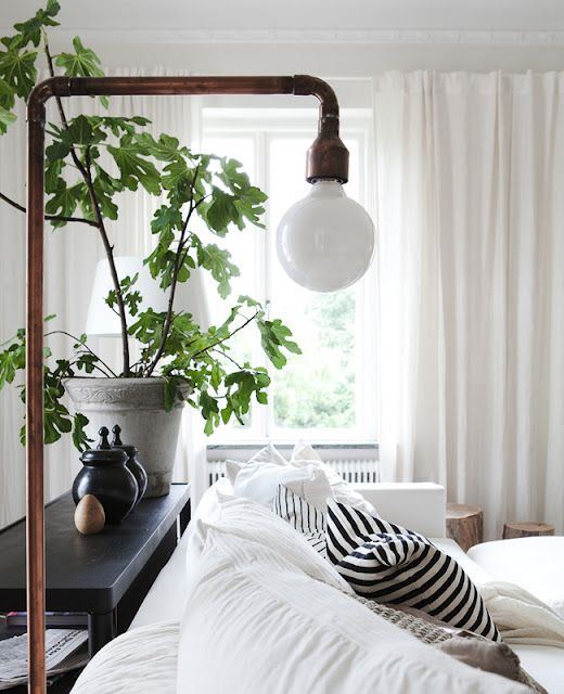cozy. green plants make every space beautiful.