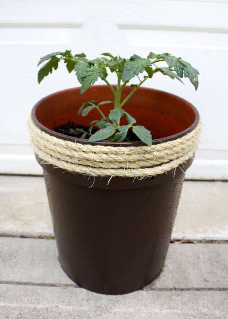 How to Make a Planter From a 5 Gallon Bucket