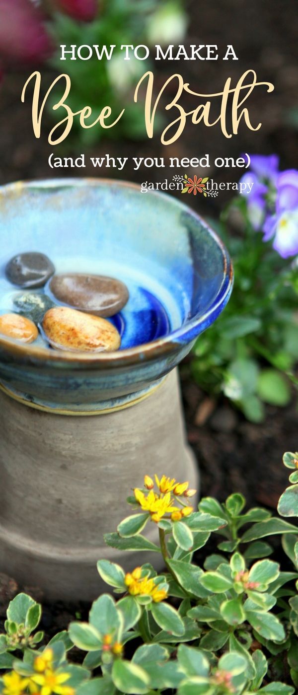 A bee bath is a simple bee water feeder that is easy to make and care for in you...