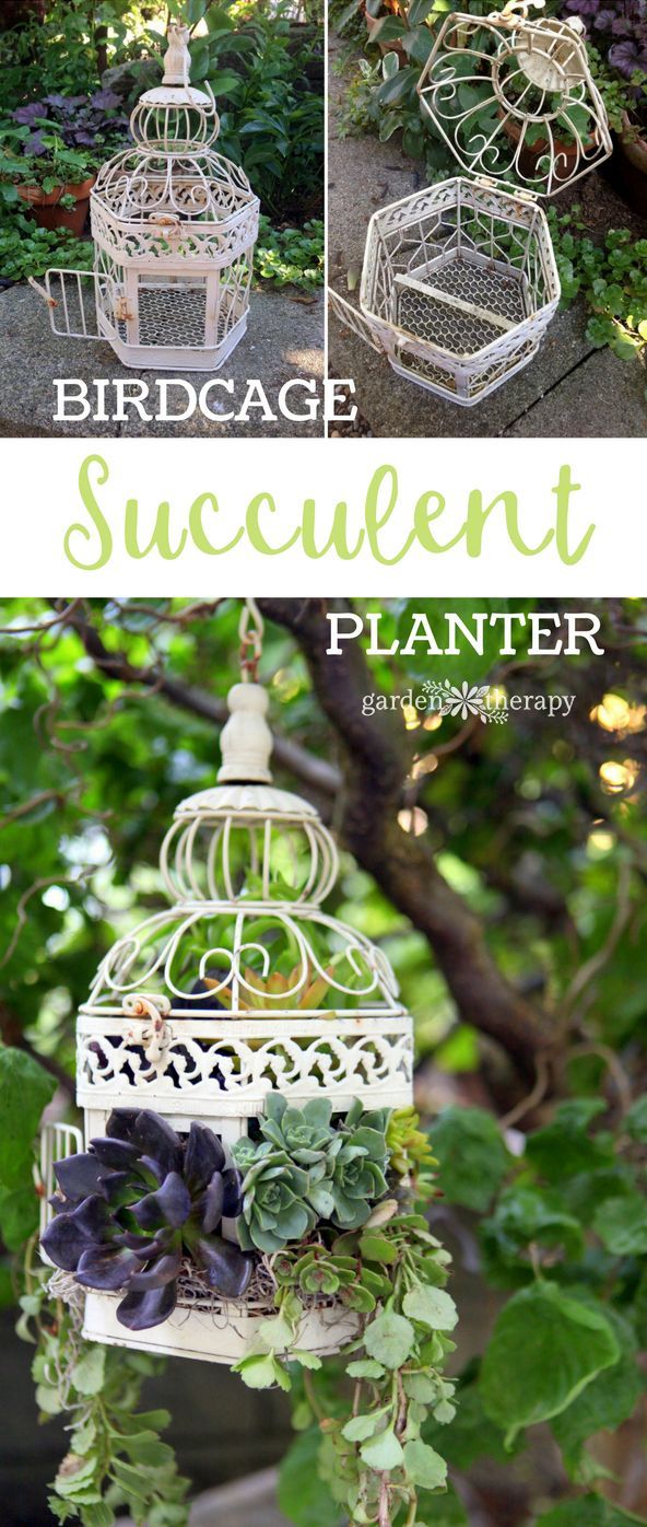 Birdcage Succulent Planter DIY Project #gardening #gardentherapy #succulent #suu...