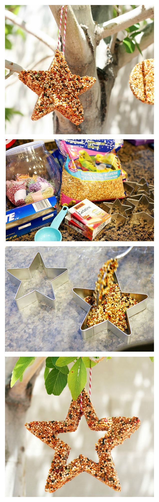 Bird Feeders That Are Fun For All Ages To Make