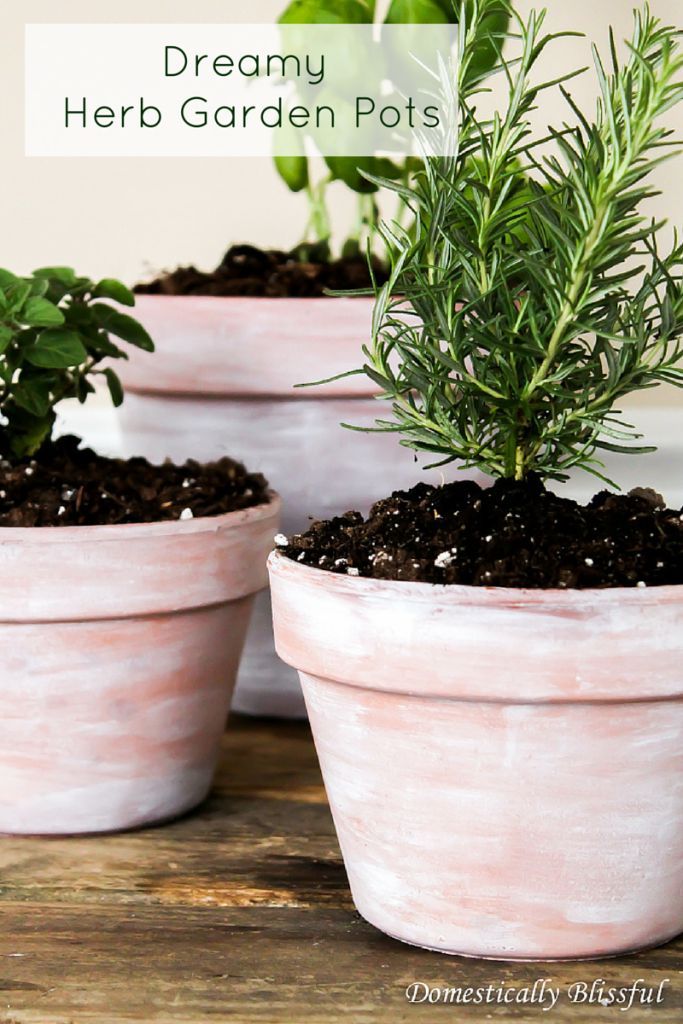 Give your indoor garden pots something to dream about with these DIY Dreamy Herb...