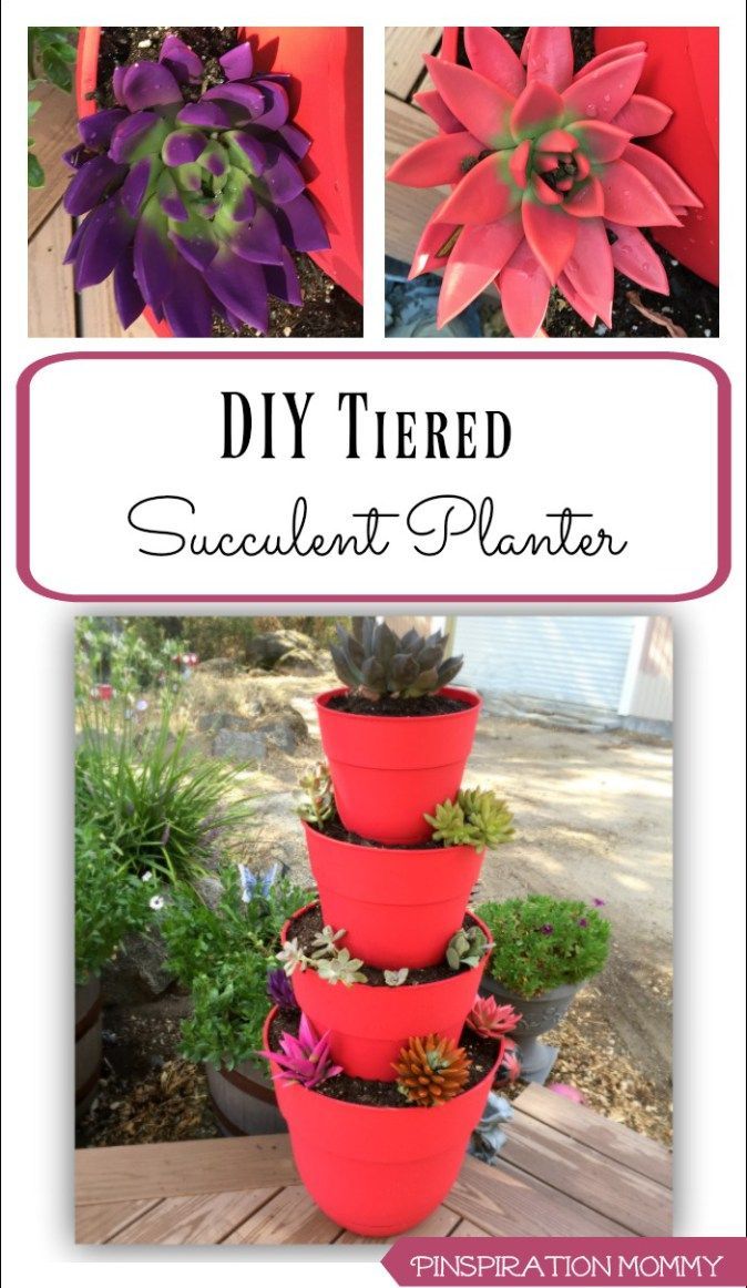 How to create an inexpensive tiered succulent planter.  Add a pop of color to yo...