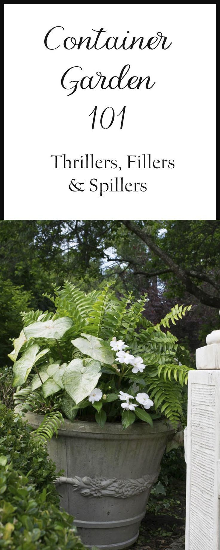Container Gardening Basics: Thrillers, Fillers and Spillers