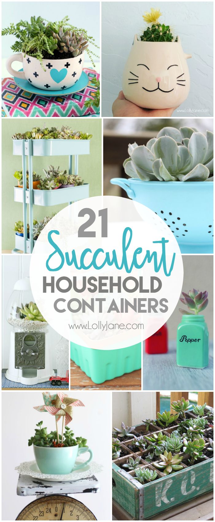 21 household succulent containers. Check out these awesome everyday household it...